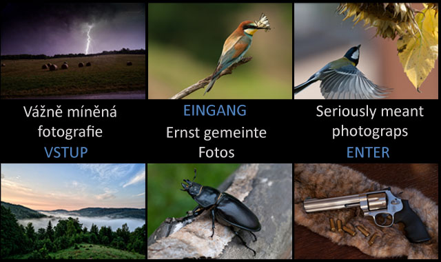 Vn fotografie